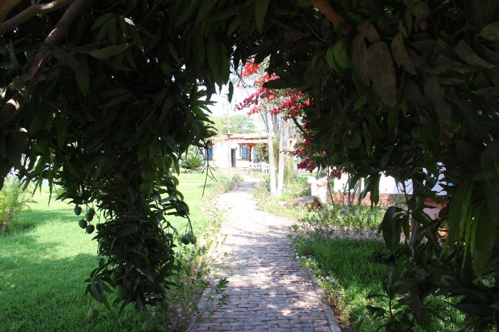 Casa Hacienda Nasca Oasis Hotel Nazca Exterior photo