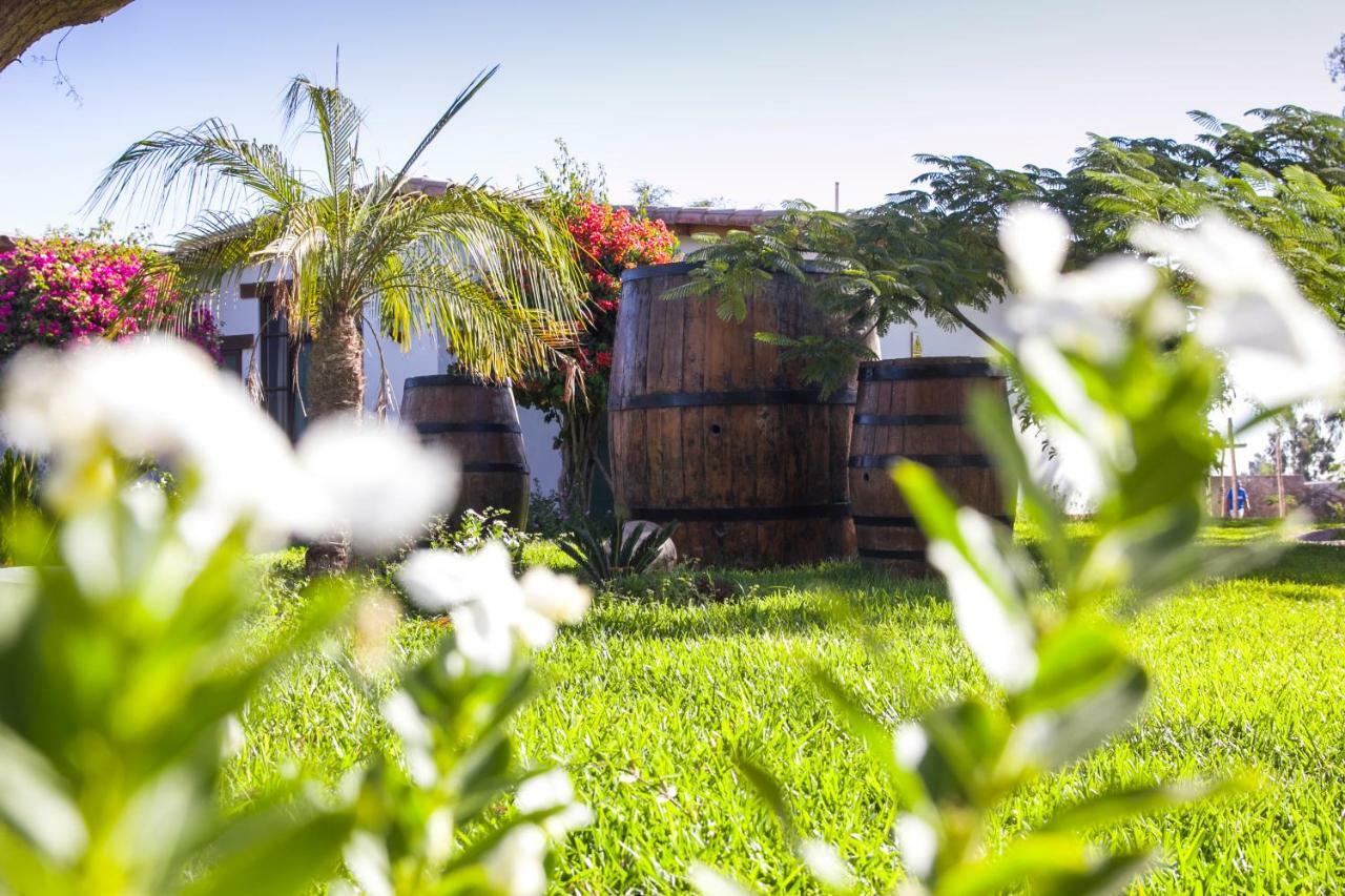 Casa Hacienda Nasca Oasis Hotel Nazca Exterior photo